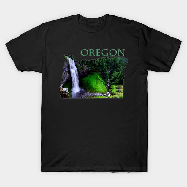 Oregon State Outline (Salt Creek Falls) T-Shirt by gorff